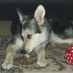 Mai 2012