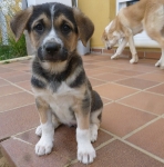 Juli 2014
