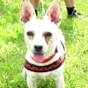 Milly