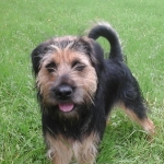 Jack