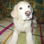 Barry
