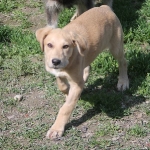 Erik